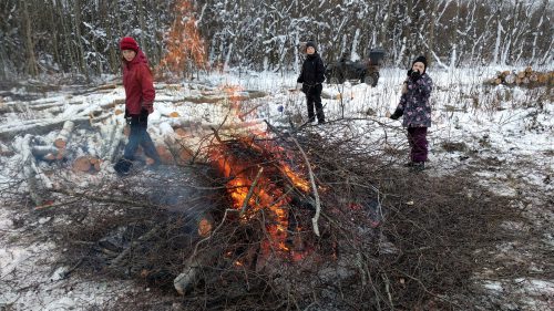 Vardja tee puhastamine ©Nahkanuia